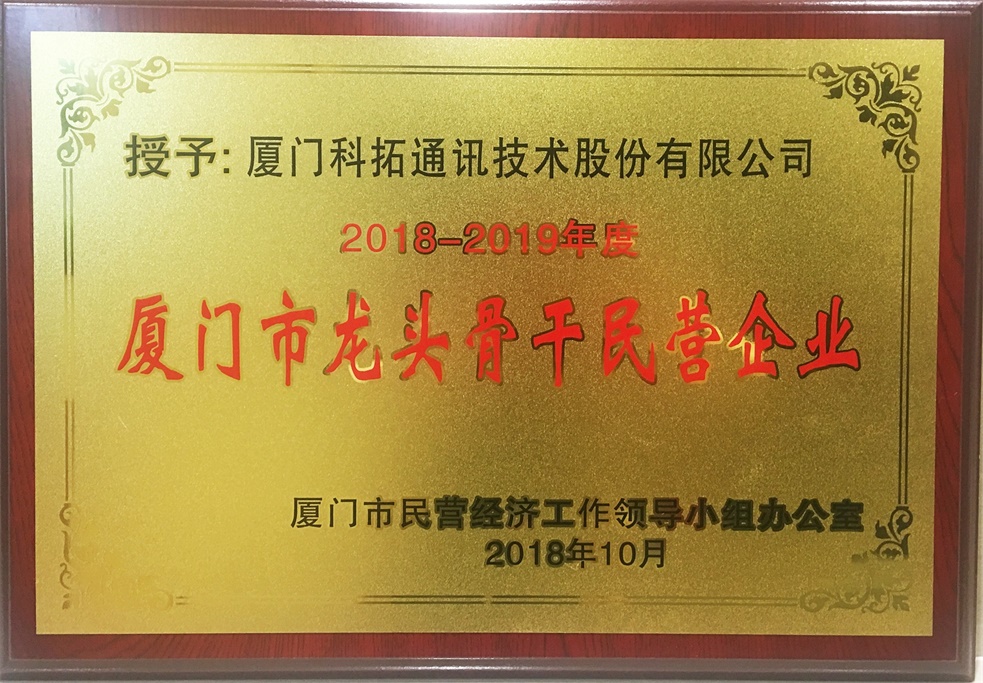 2018-2019年度 廈門(mén)市龍頭骨干民營(yíng)企業(yè)